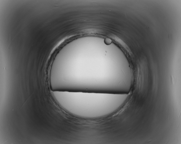X0000085281023200703090932