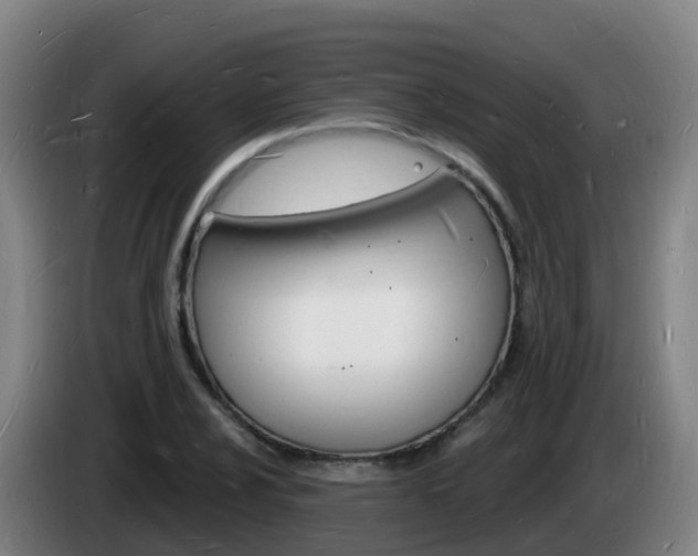 X0000085281024200703090932