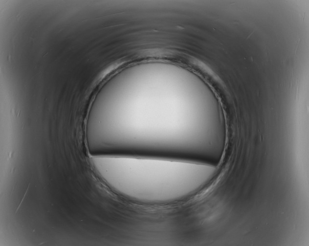X0000085281025200703090932