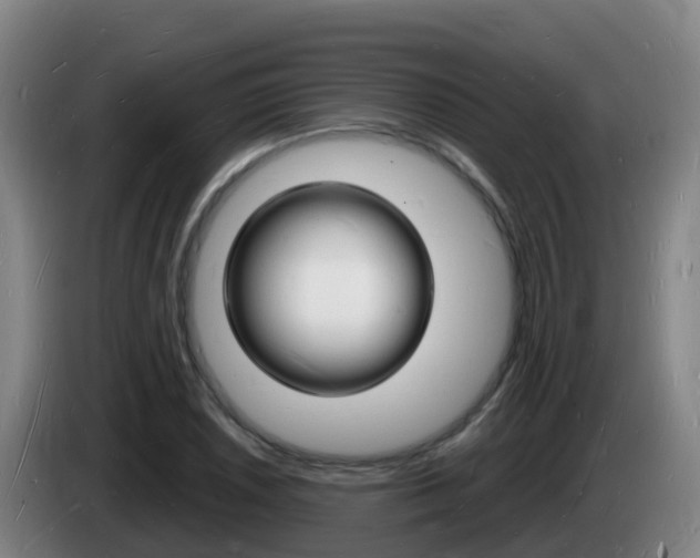 X0000085281026200703090932