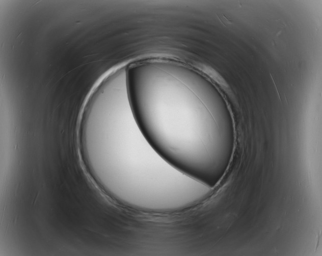 X0000085281028200703090932