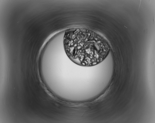 X0000085281030200703090932