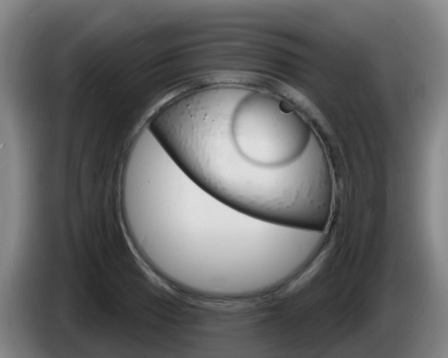 X0000085281033200703090932