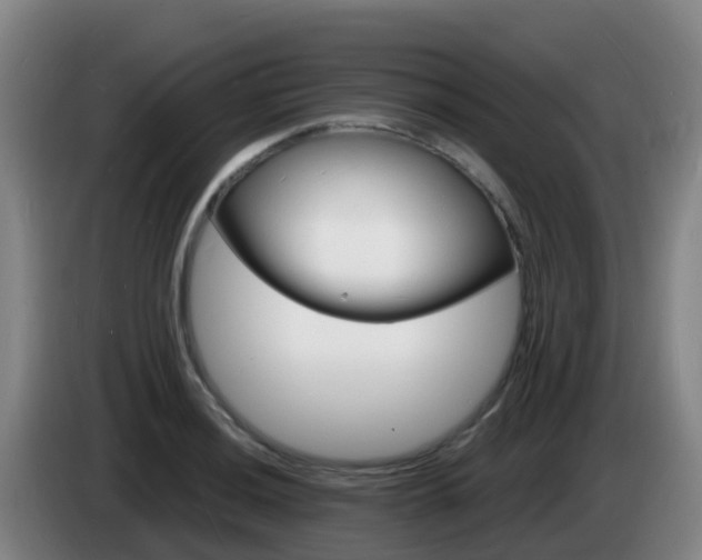 X0000085281036200703090932