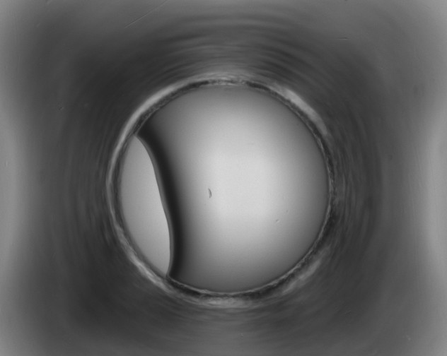X0000085281037200703090932