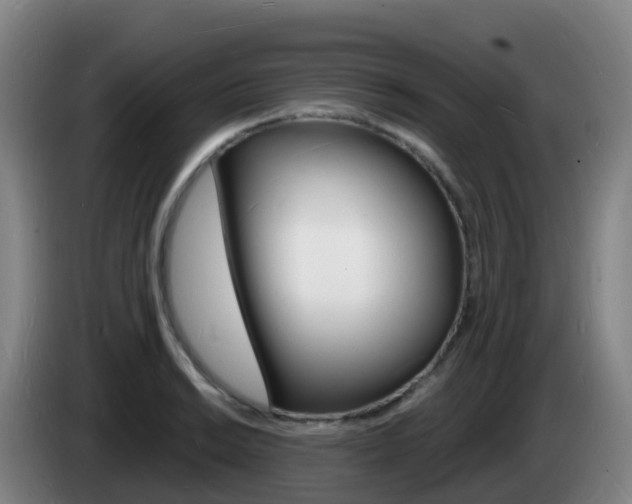 X0000085281038200703090932