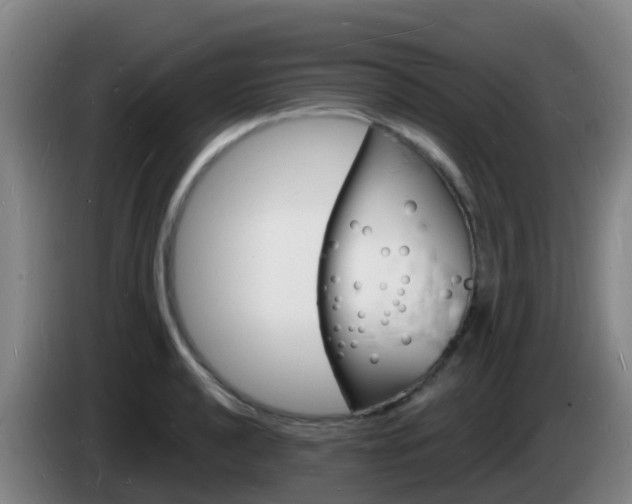 X0000085281040200703090932