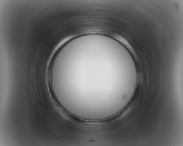 X0000085281043200703090932