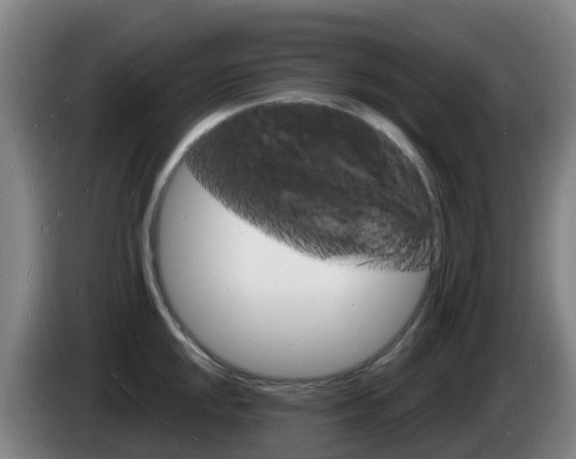 X0000085281048200703090932