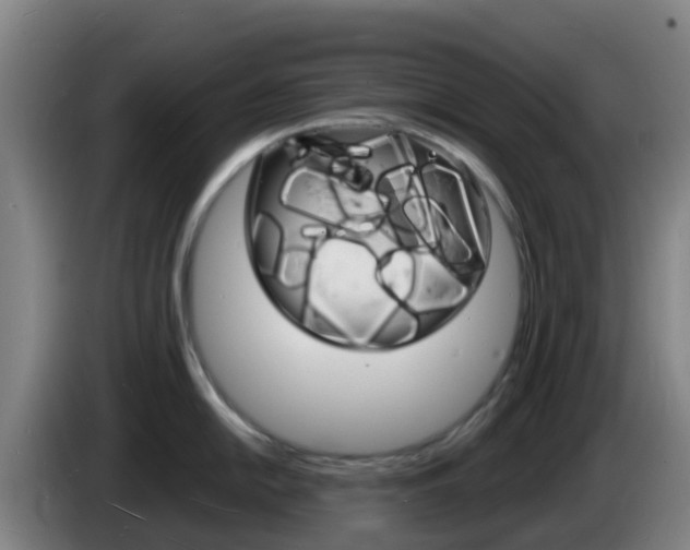 X0000085281054200703090932