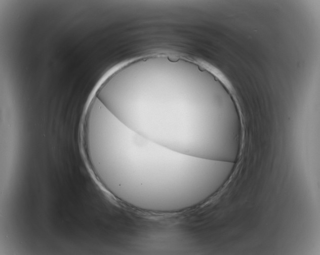 X0000085281056200703090932