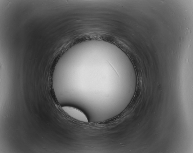 X0000085281060200703090932