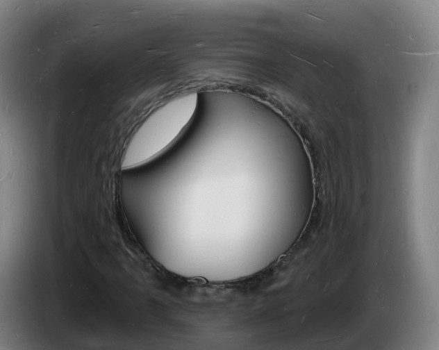 X0000085281061200703090931
