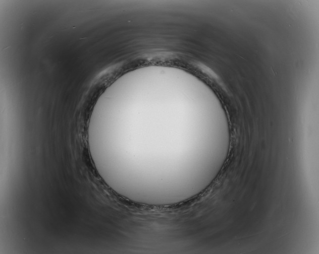 X0000085281063200703090931