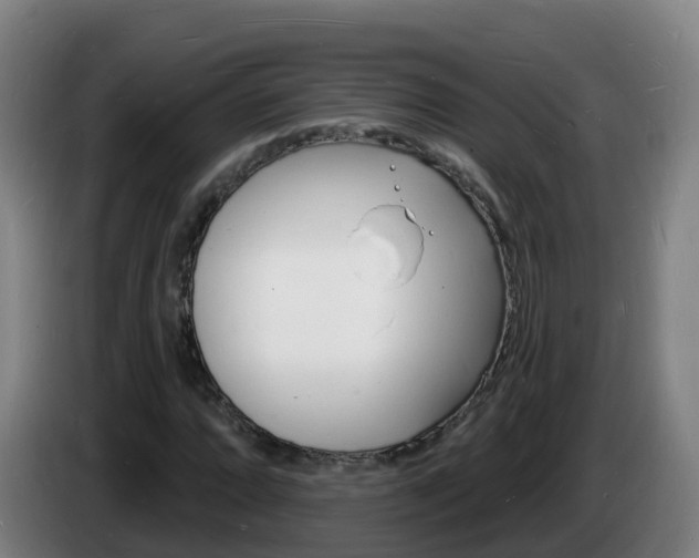 X0000085281064200703090931