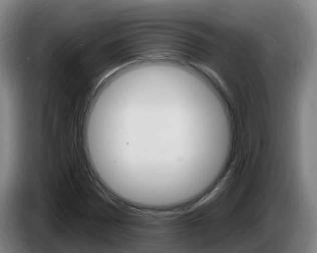 X0000085281065200703090931