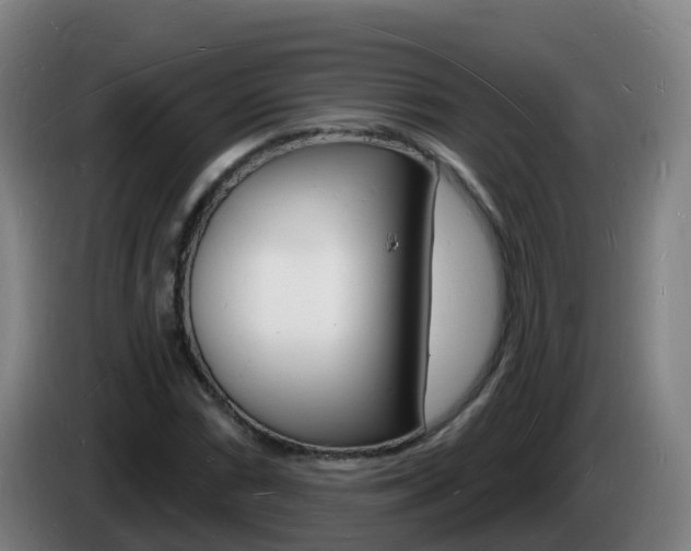 X0000085281066200703090931