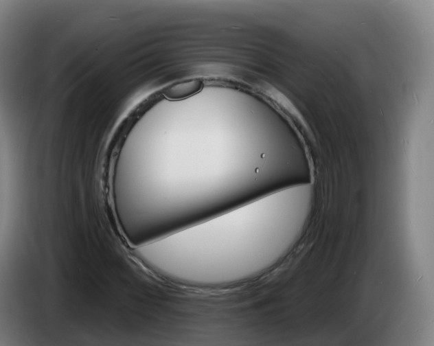 X0000085281068200703090931