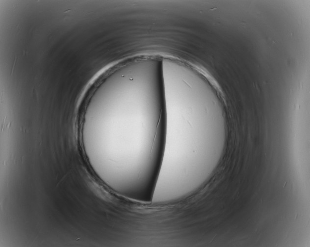 X0000085281076200703090931