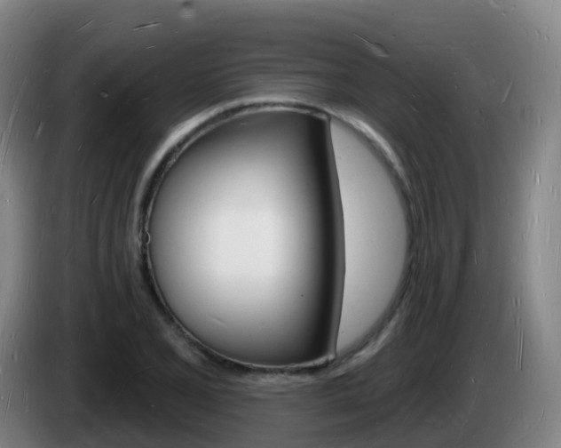 X0000085281077200703090931
