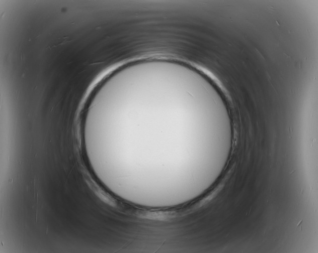 X0000085281078200703090931