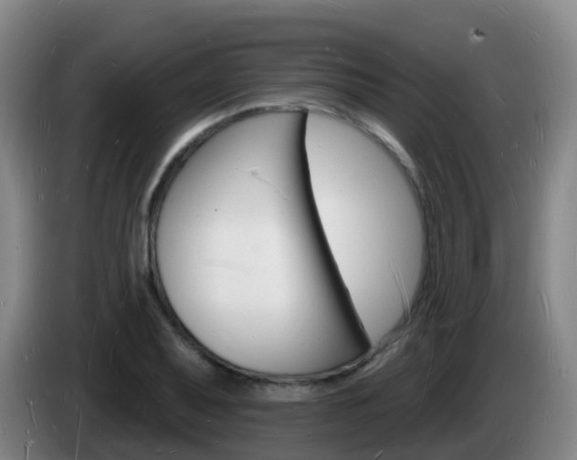 X0000085281079200703090931