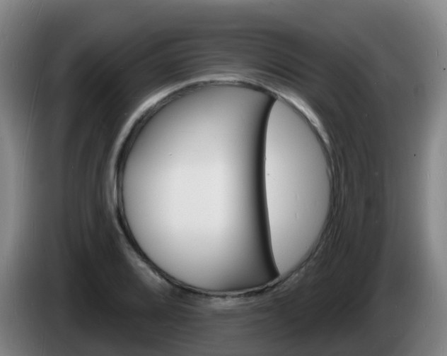 X0000085281080200703090931