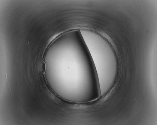 X0000085281081200703090931