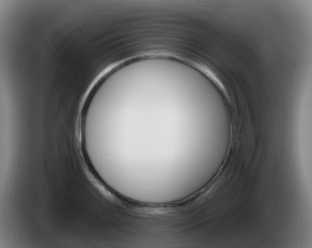 X0000085281084200703090931
