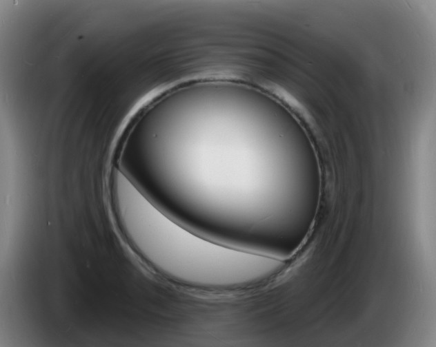 X0000085281085200703090931