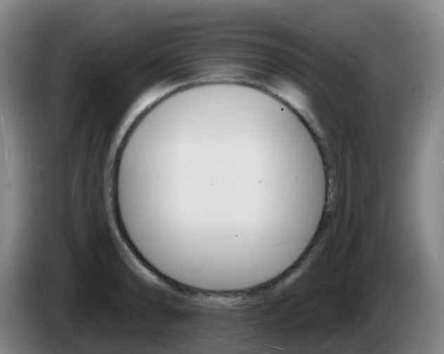 X0000085281086200703090931