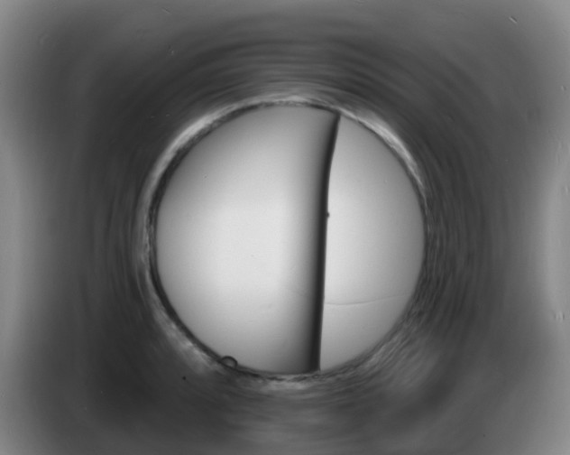 X0000085281088200703090931
