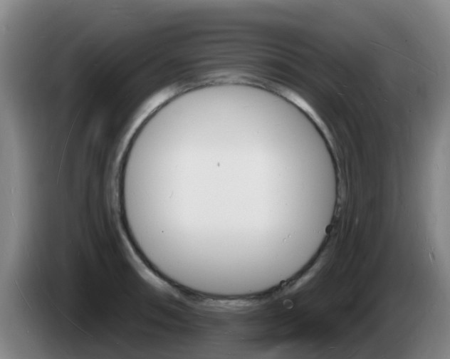 X0000085281090200703090931