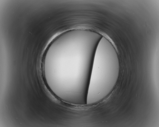 X0000085281091200703090931
