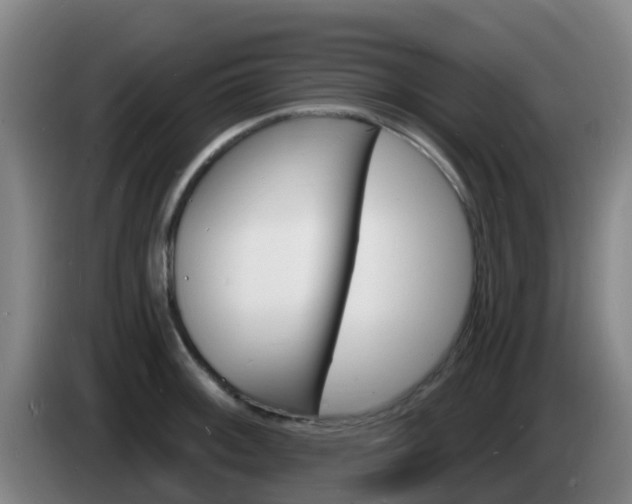 X0000085281092200703090931