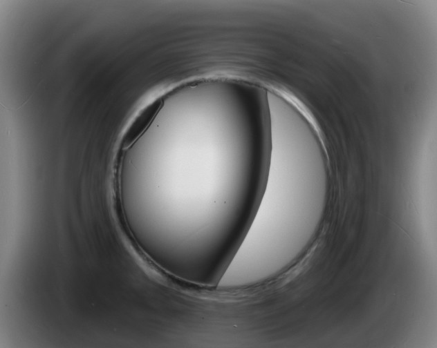 X0000085281093200703090931
