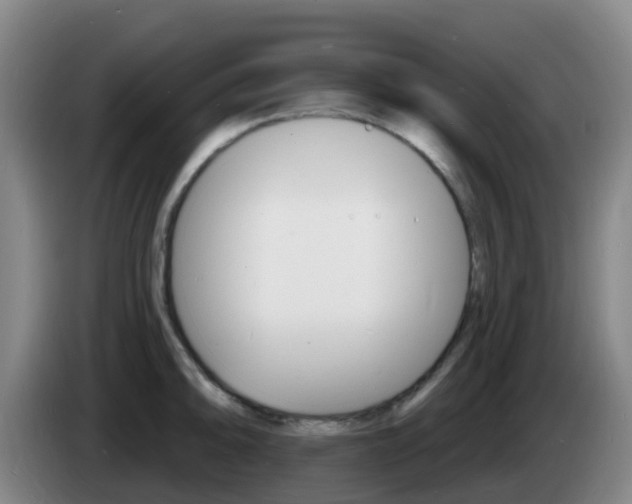X0000085281094200703090931