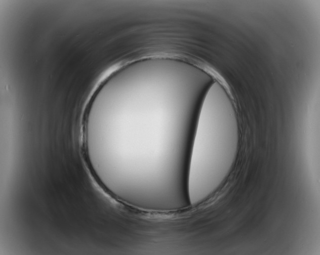 X0000085281095200703090931
