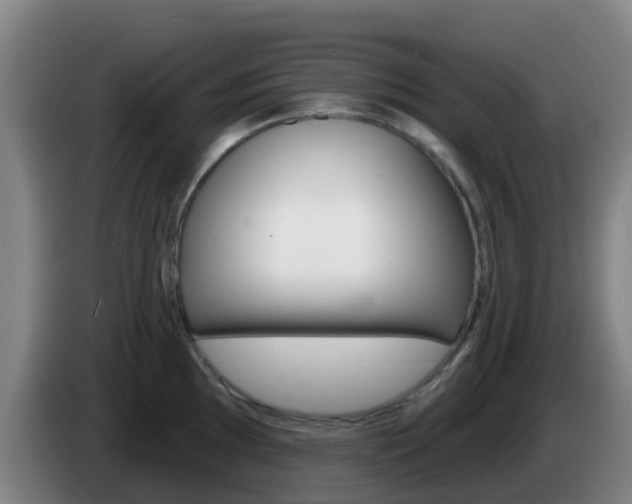 X0000085281097200703090931