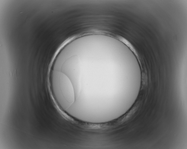 X0000085281098200703090931