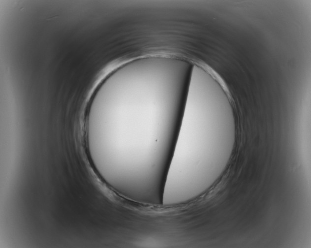 X0000085281099200703090931