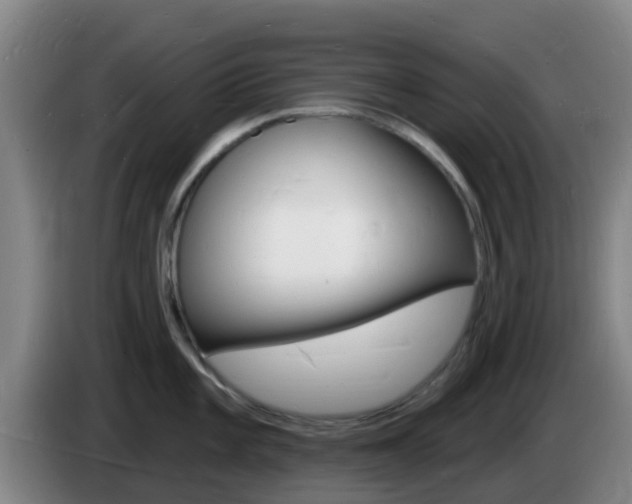 X0000085281101200703090931