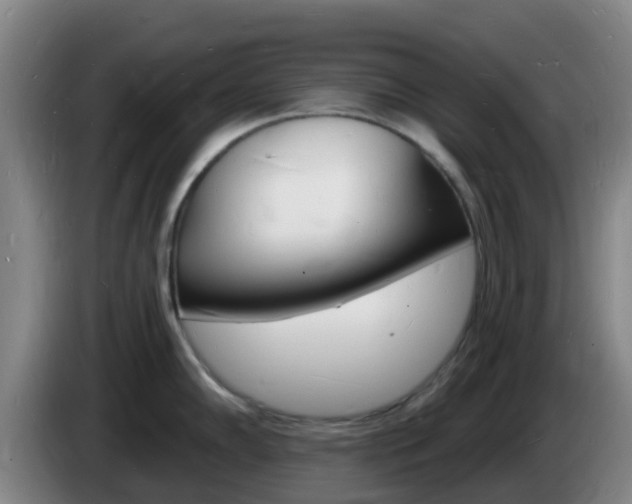 X0000085281102200703090931