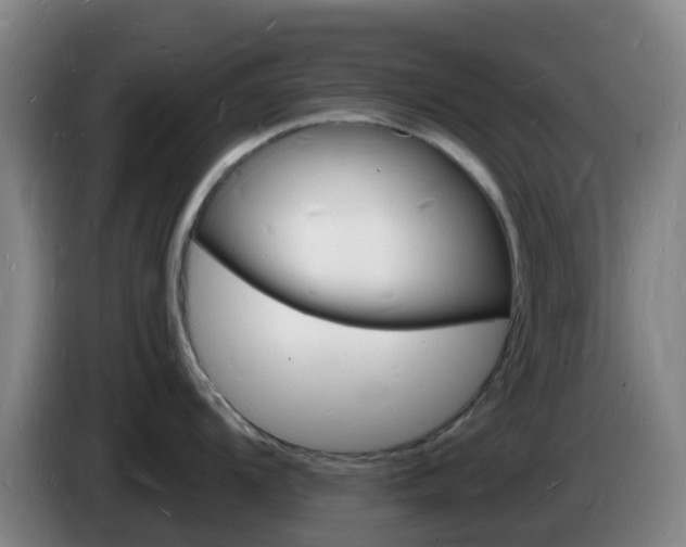 X0000085281104200703090931