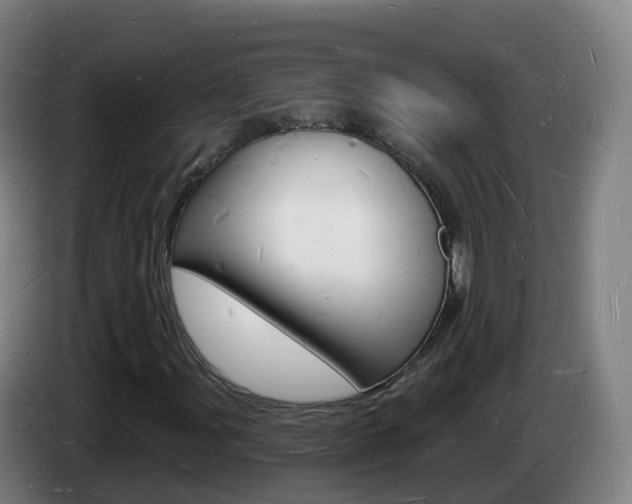 X0000085281107200703090930