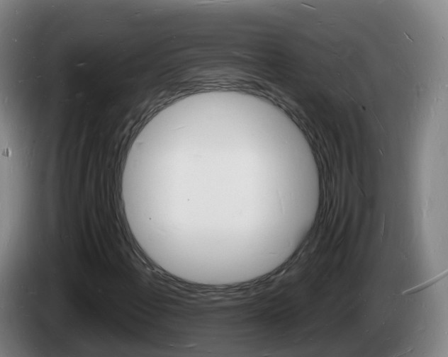 X0000085281108200703090930
