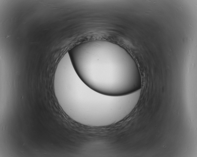 X0000085281109200703090930