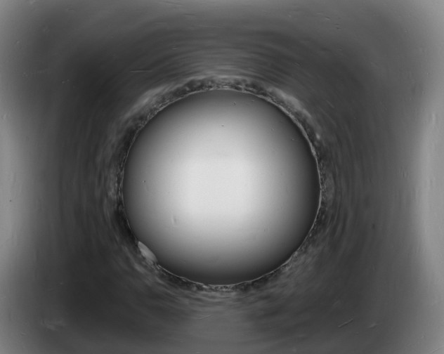 X0000085281110200703090930