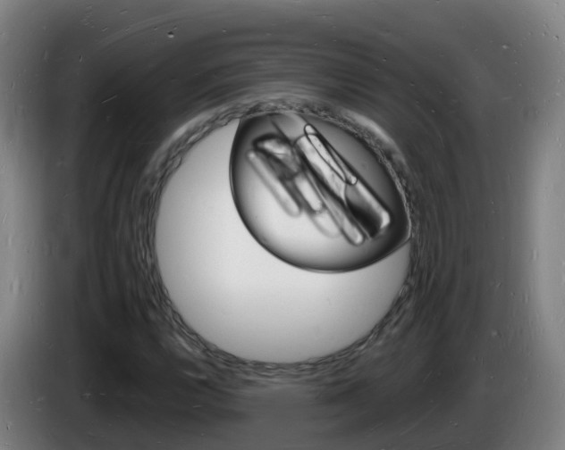 X0000085281112200703090930