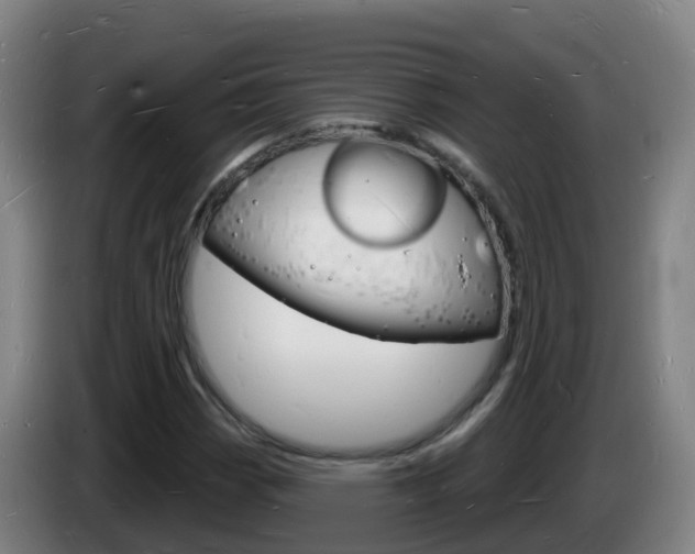 X0000085281113200703090930